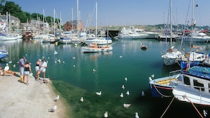 A marina with various boats docked, people near the water, and seagulls swimming. - The Beach House & Porth  Sands Apartments (Newquay)