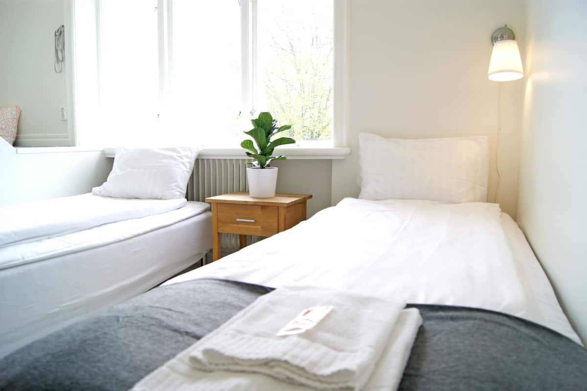 A hotel room with two beds, a bedside table, a potted plant, and a window with a view of trees.