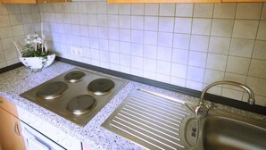 A kitchen with a stove, sink, and a small plant on the counter. - Boardinghouse Hähn (Koblenz)