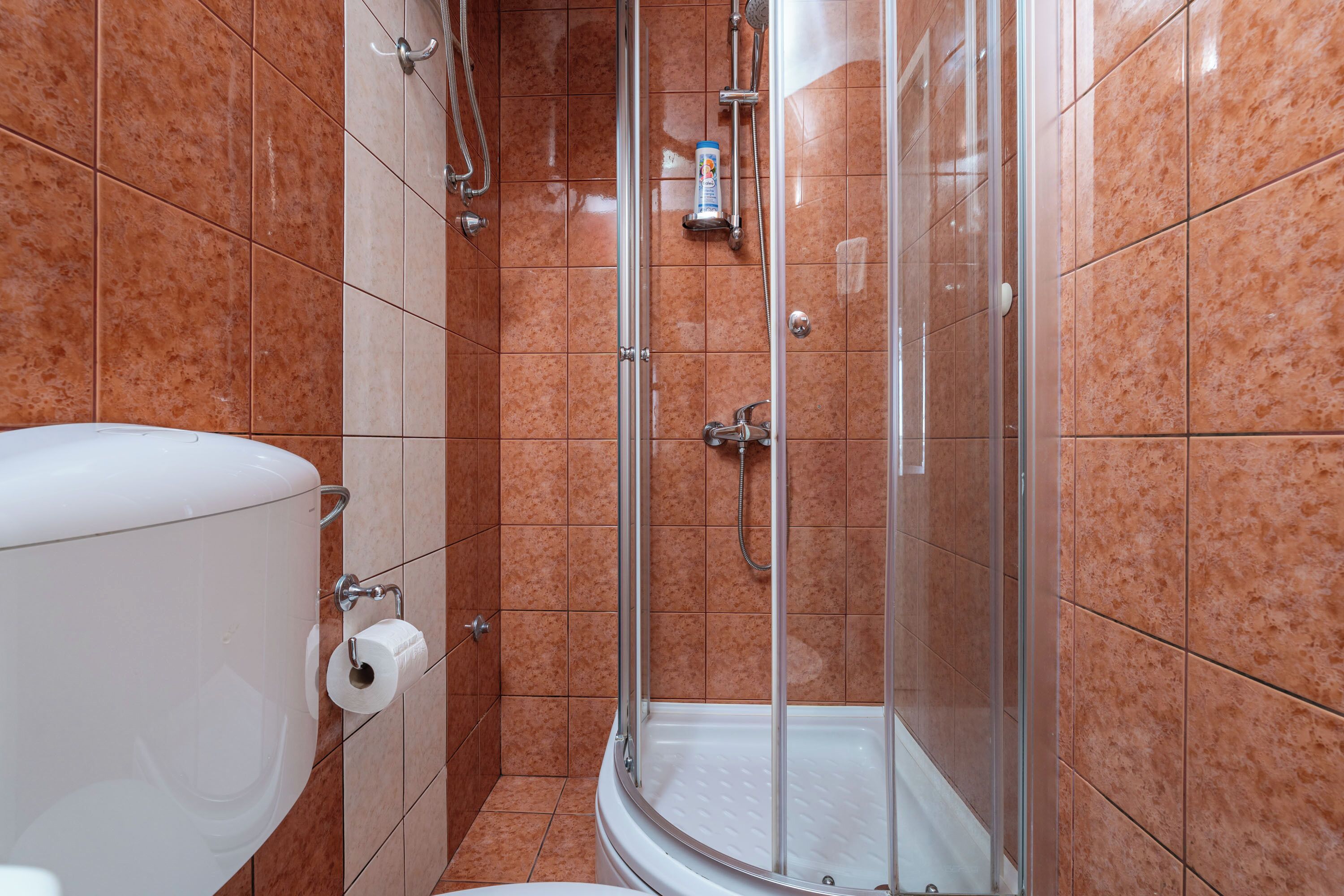 A bathroom with a toilet, a glass shower enclosure, and a roll of toilet paper on the wall.