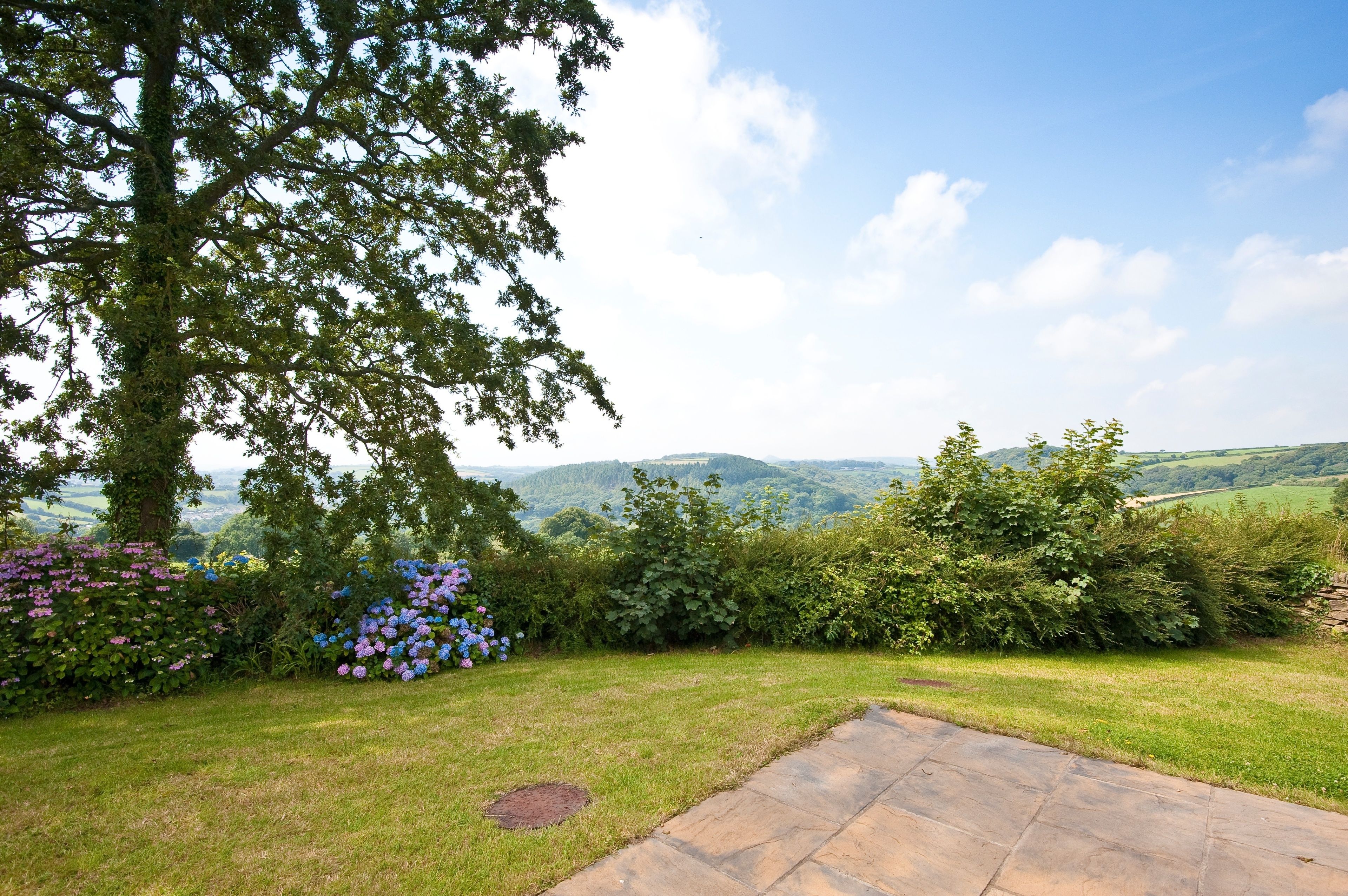 Garden view