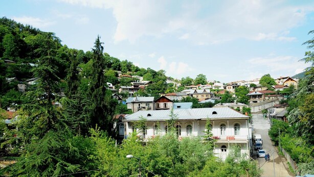 A hillside village with traditional houses, a prominent white building with a balcony, and lush greenery. - Alma-Ata Hotel (Borjomi)