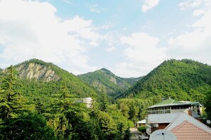 Un paisaje montañoso con edificios integrados entre los árboles.