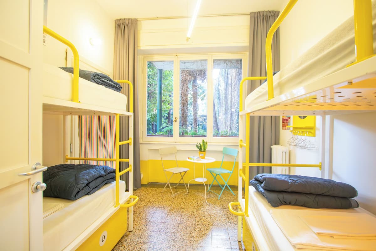A dormitory room with bunk beds, a small table with chairs, a window with curtains, and a plant on the windowsill.