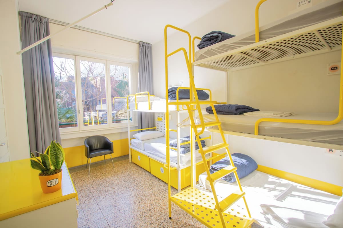 A dormitory room with bunk beds, a desk with a potted plant, a chair, and a window with curtains.