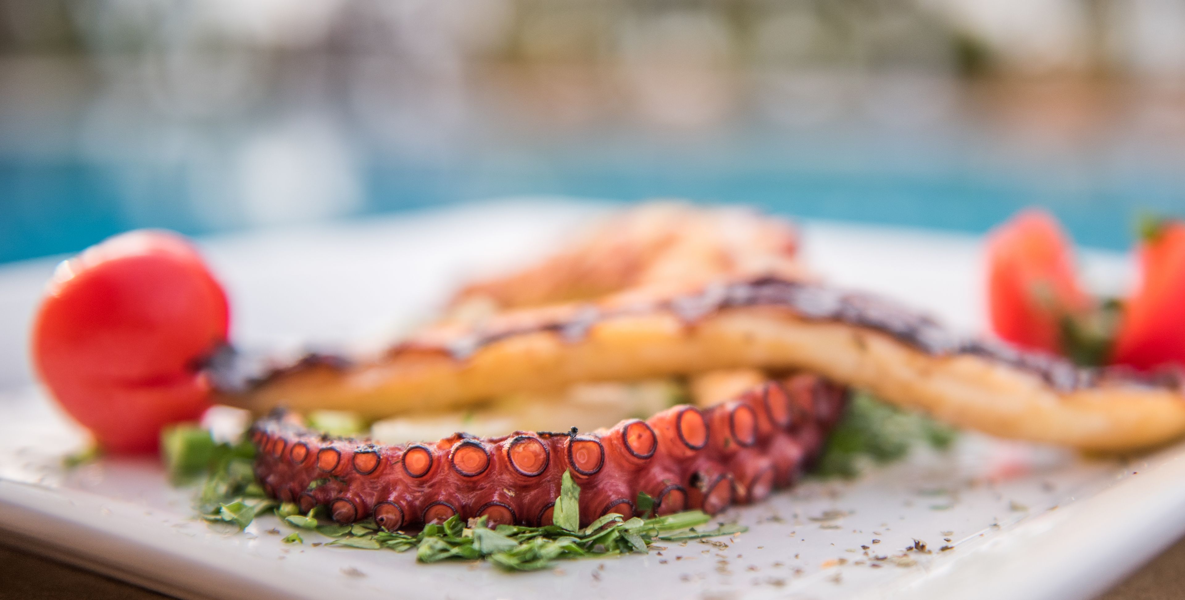 A plate with grilled octopus, garnished with herbs, and a tomato.