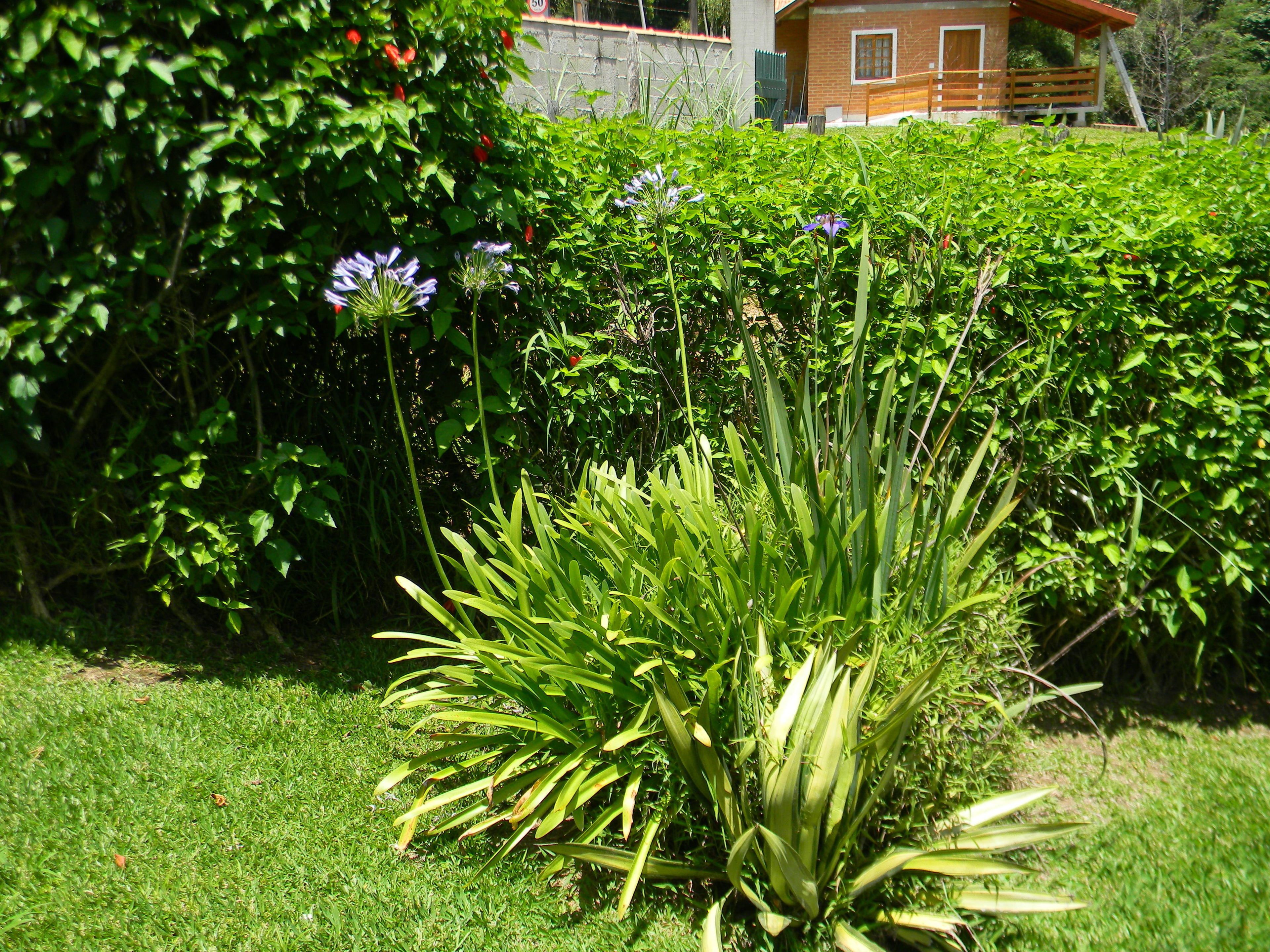 Chalé, 2 quartos | Área de estar | TV LCD, lareira