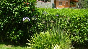 A garden with a variety of plants and flowers, a well-maintained lawn, and a brick building in the background. - Chalés Luar da Serra (Santo Antonio do Pinhal)