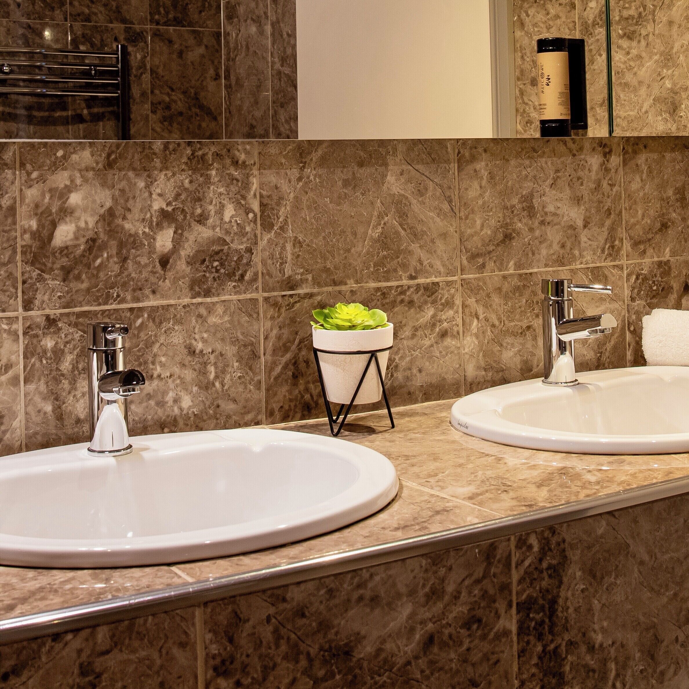 A bathroom with two sinks, a mirror, and a small plant on a pedestal.