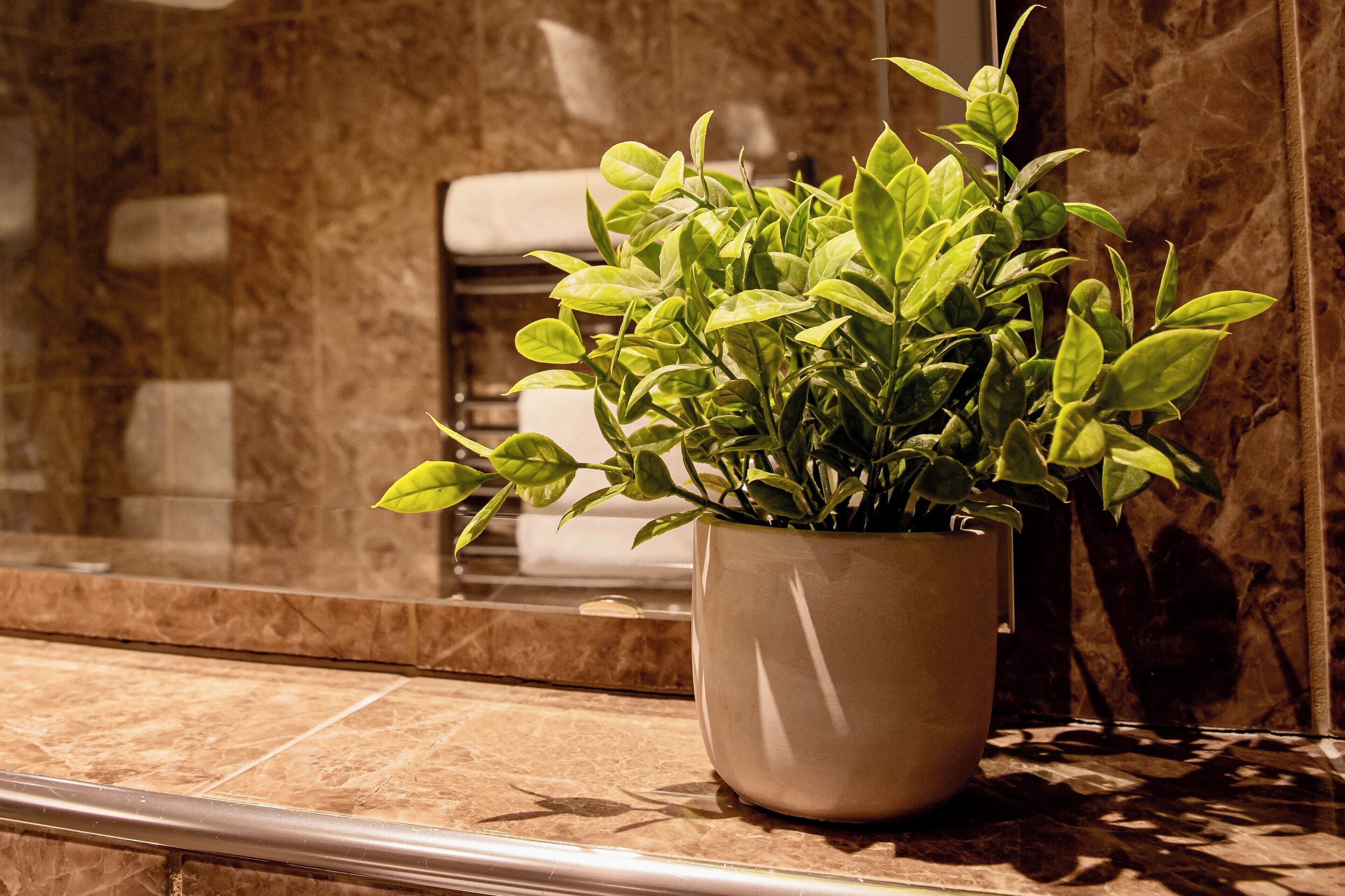 A potted plant on a marble countertop in a bathroom.