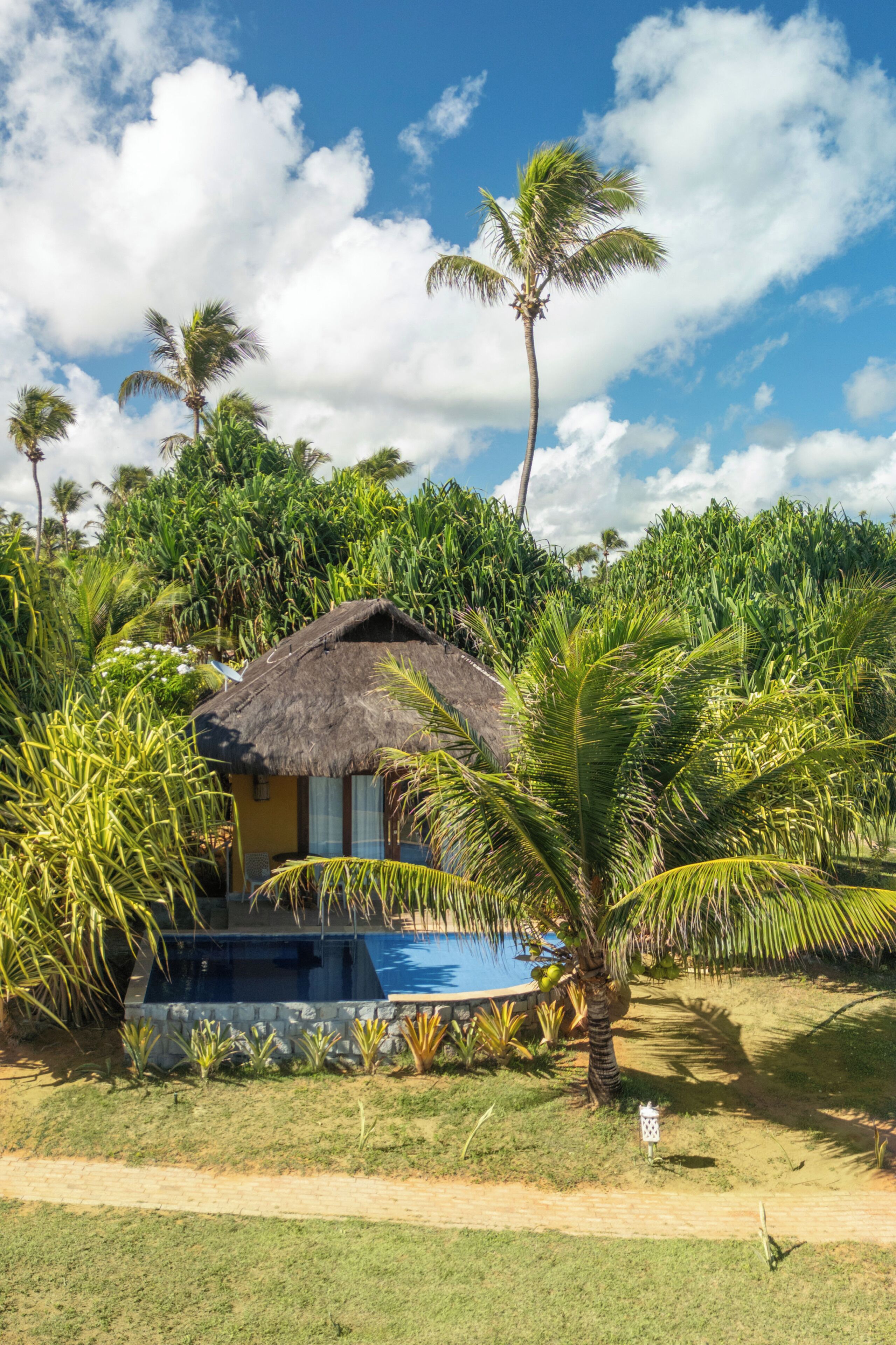 Una estructura de techo de paja rodeada de exuberante follaje y palmeras.