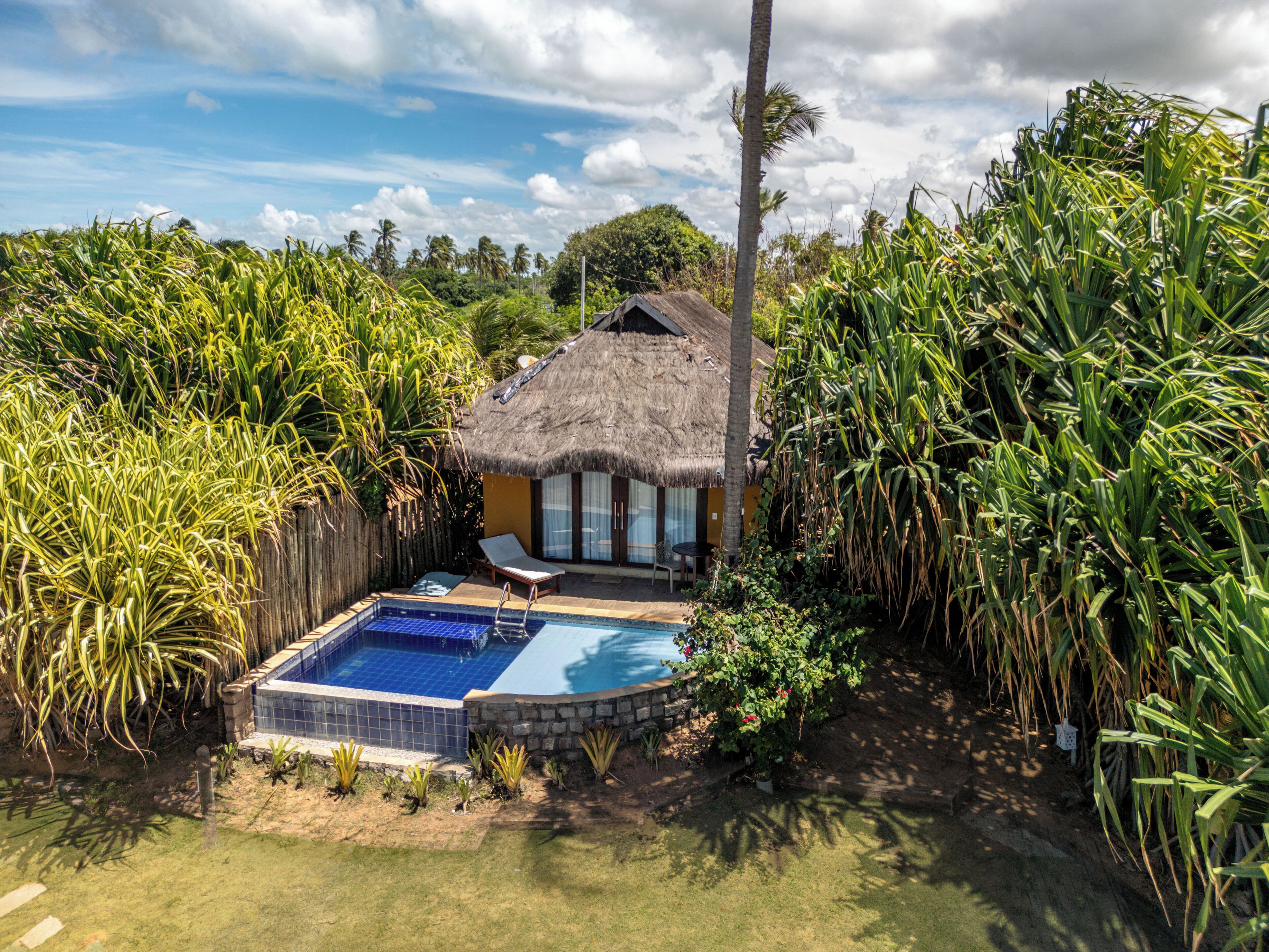 A thatched-roof house with a swimming pool, surrounded by tropical vegetation.