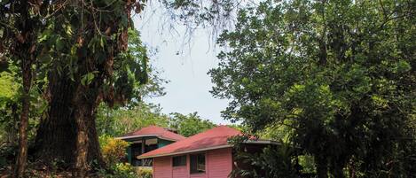 Vista frontal de la propiedad