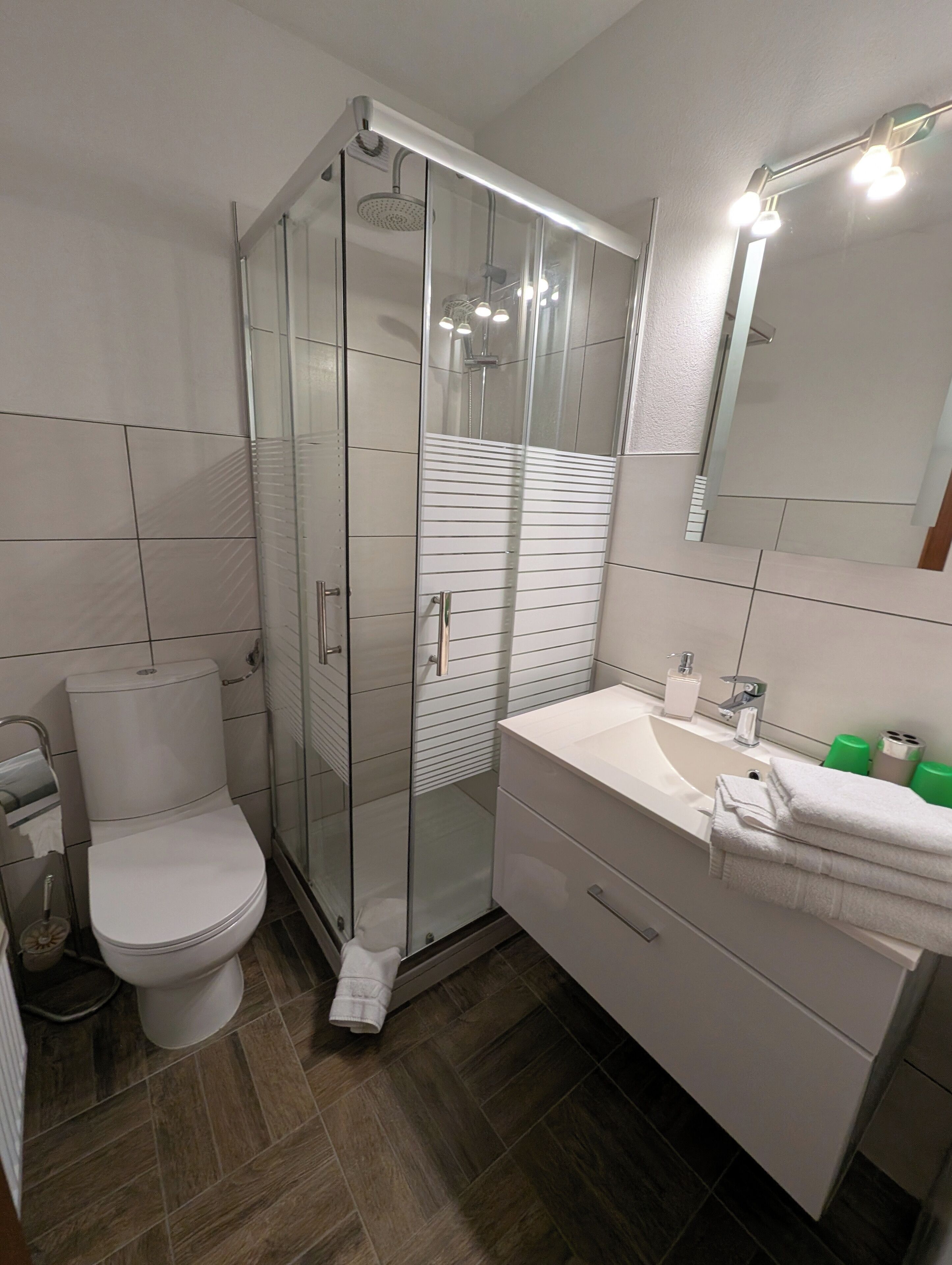 A modern bathroom with a glass-enclosed shower, a white toilet, and a vanity with a sink and mirror.
