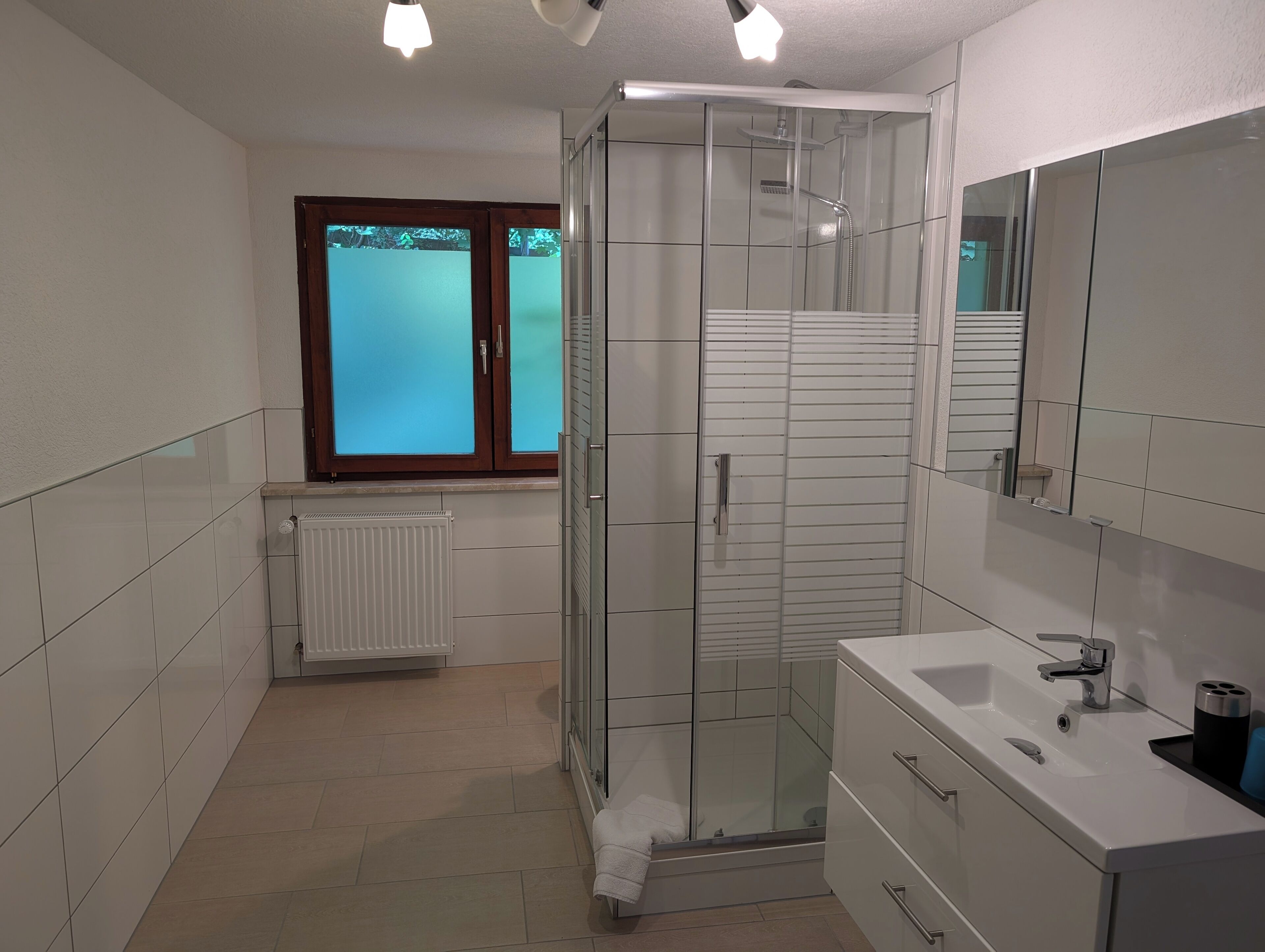 A modern bathroom with a glass shower enclosure, a white sink, and a large mirror.