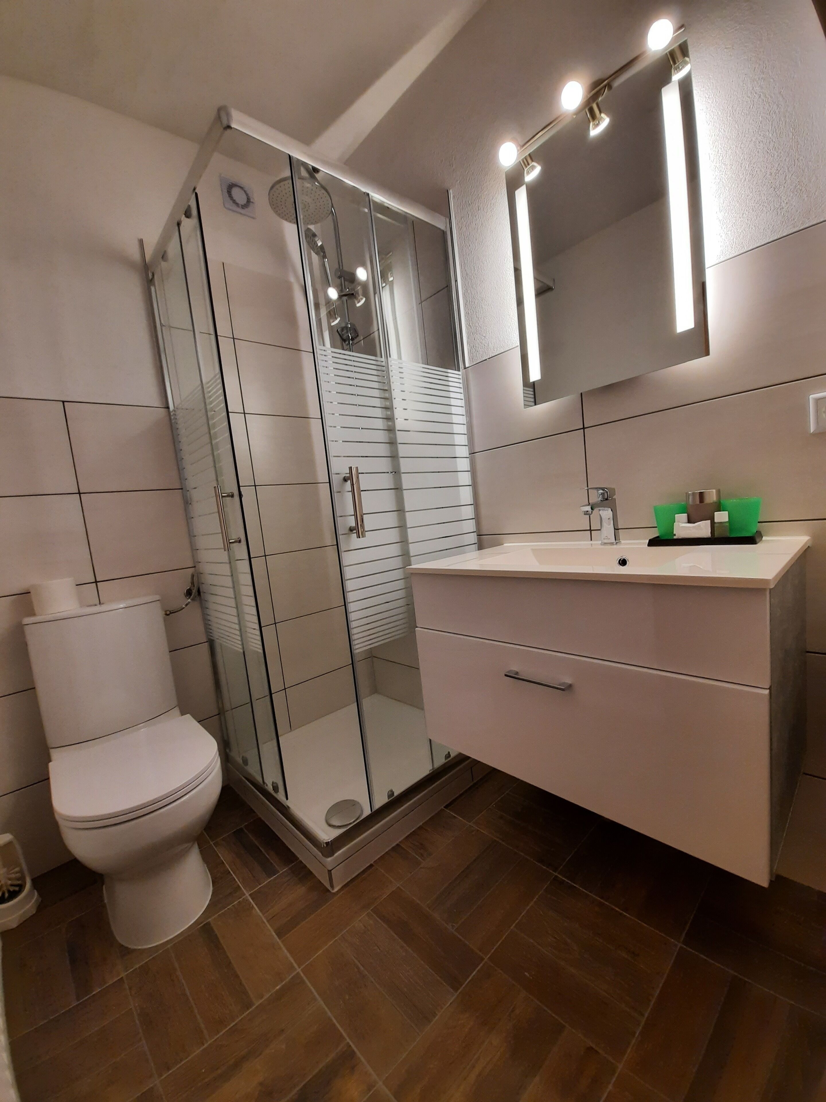 A modern bathroom with a glass shower enclosure, a white toilet, a vanity with a mirror, and a sink.