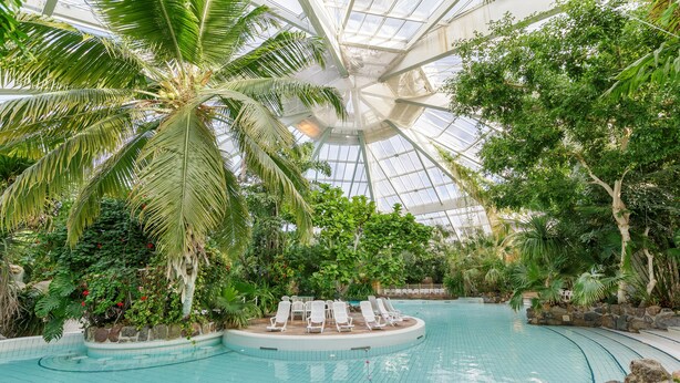 An indoor swimming pool with a glass ceiling, surrounded by lush greenery and palm trees. - Center Parcs Les Bois-Francs (Les Barils)