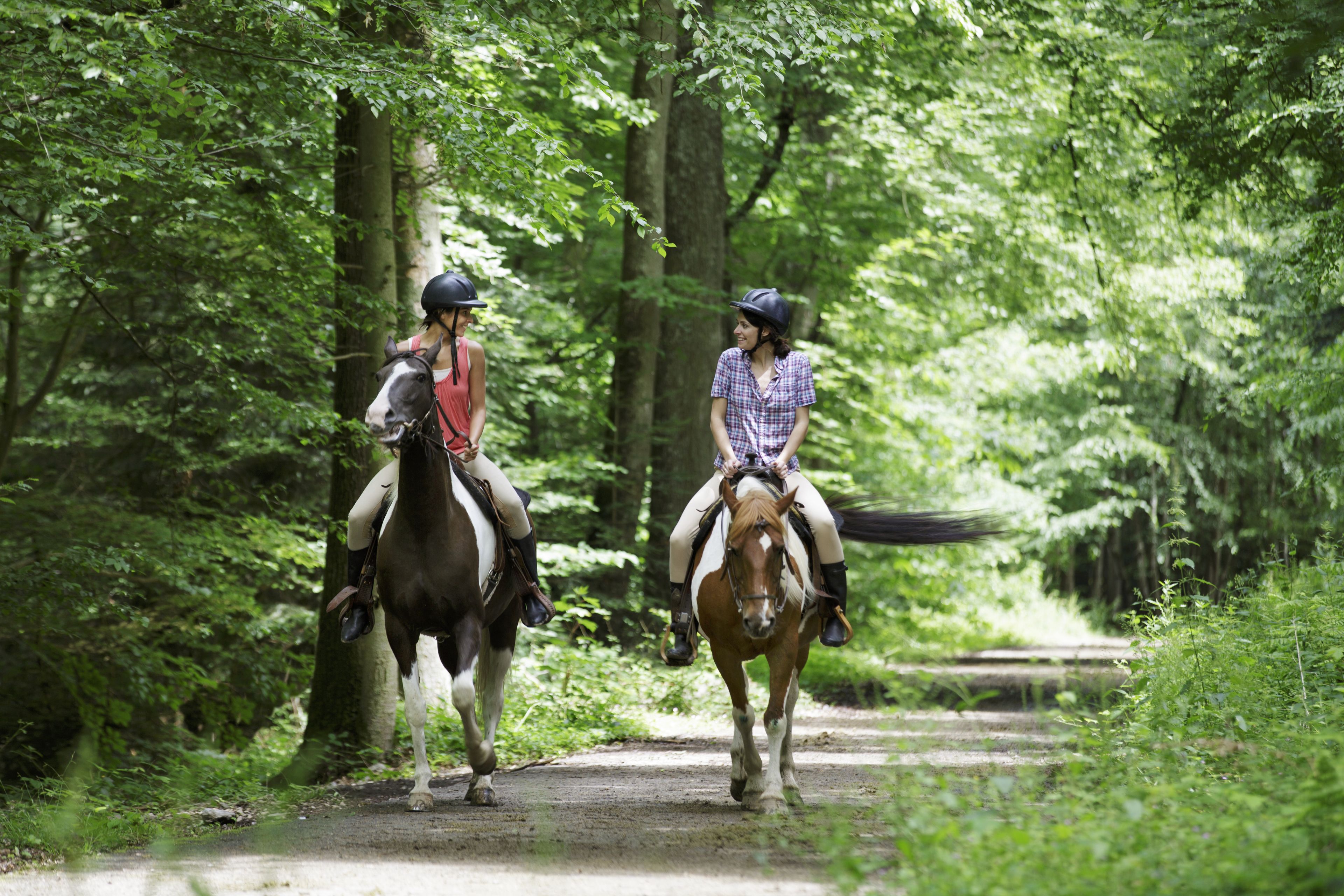 Two people riding horses on a dirt path surrounded by trees.