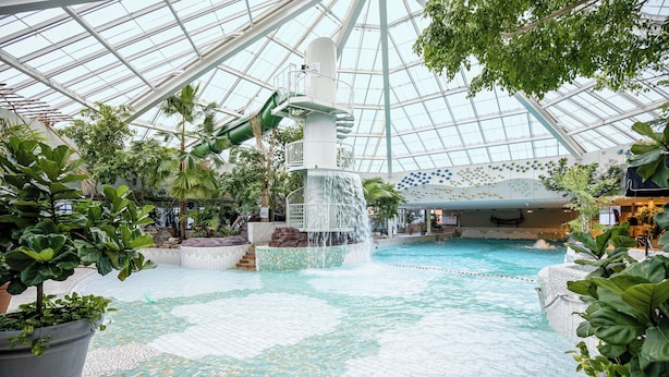 An indoor pool area with a waterfall feature, surrounded by potted plants and a glass ceiling. - Center Parcs Zandvoort Beach (Zandvoort)