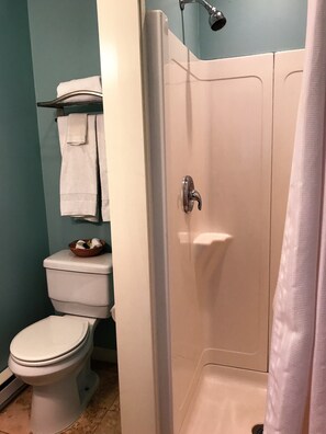 A bathroom with a toilet, a shower, and a towel rack.