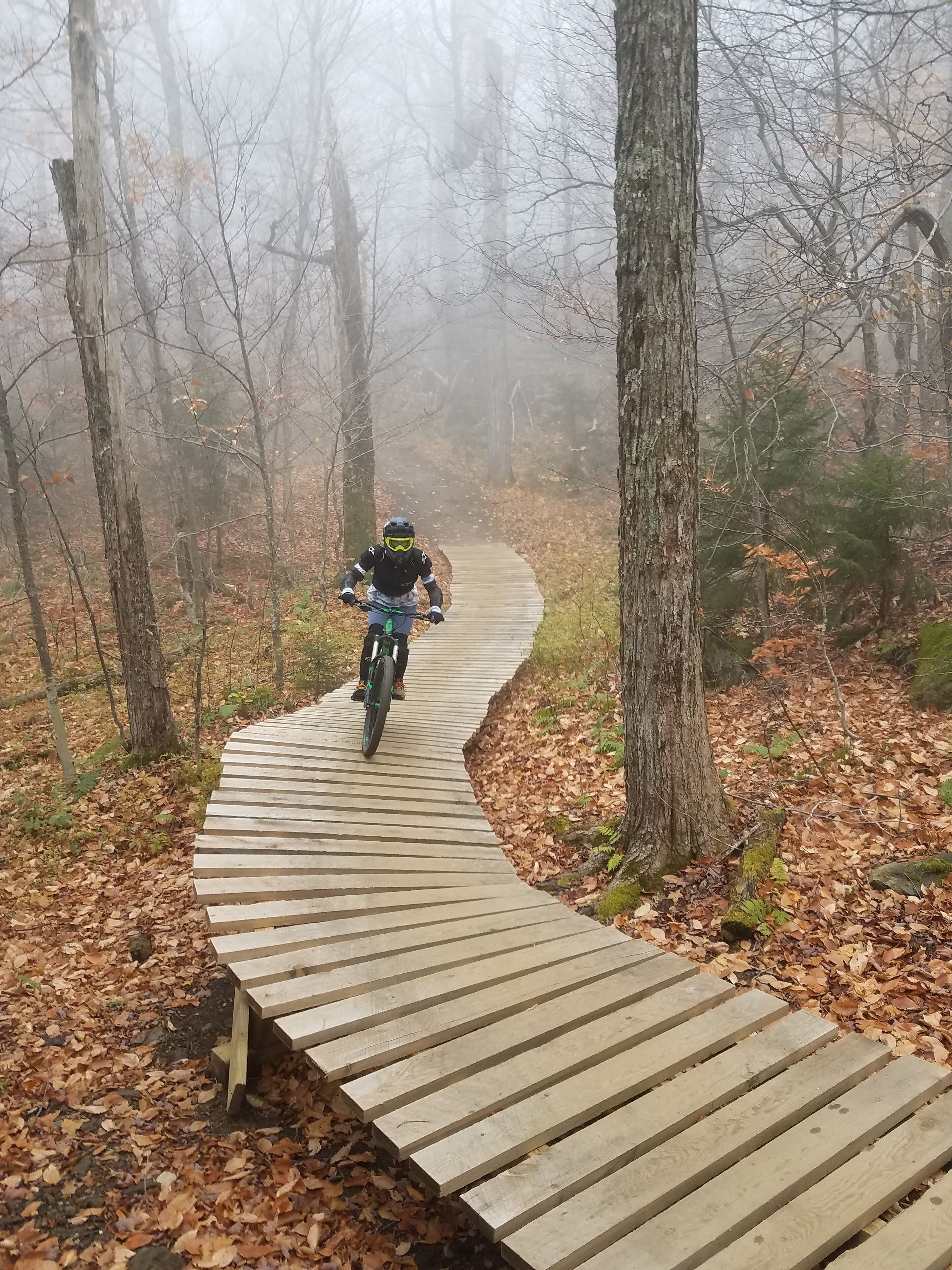 A person riding a bicycle on a wooden boardwalk through a forest.