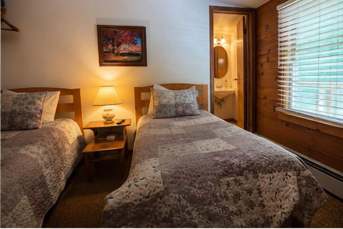 Habitación básica con 2 camas individuales, varias camas | Ropa de cama 