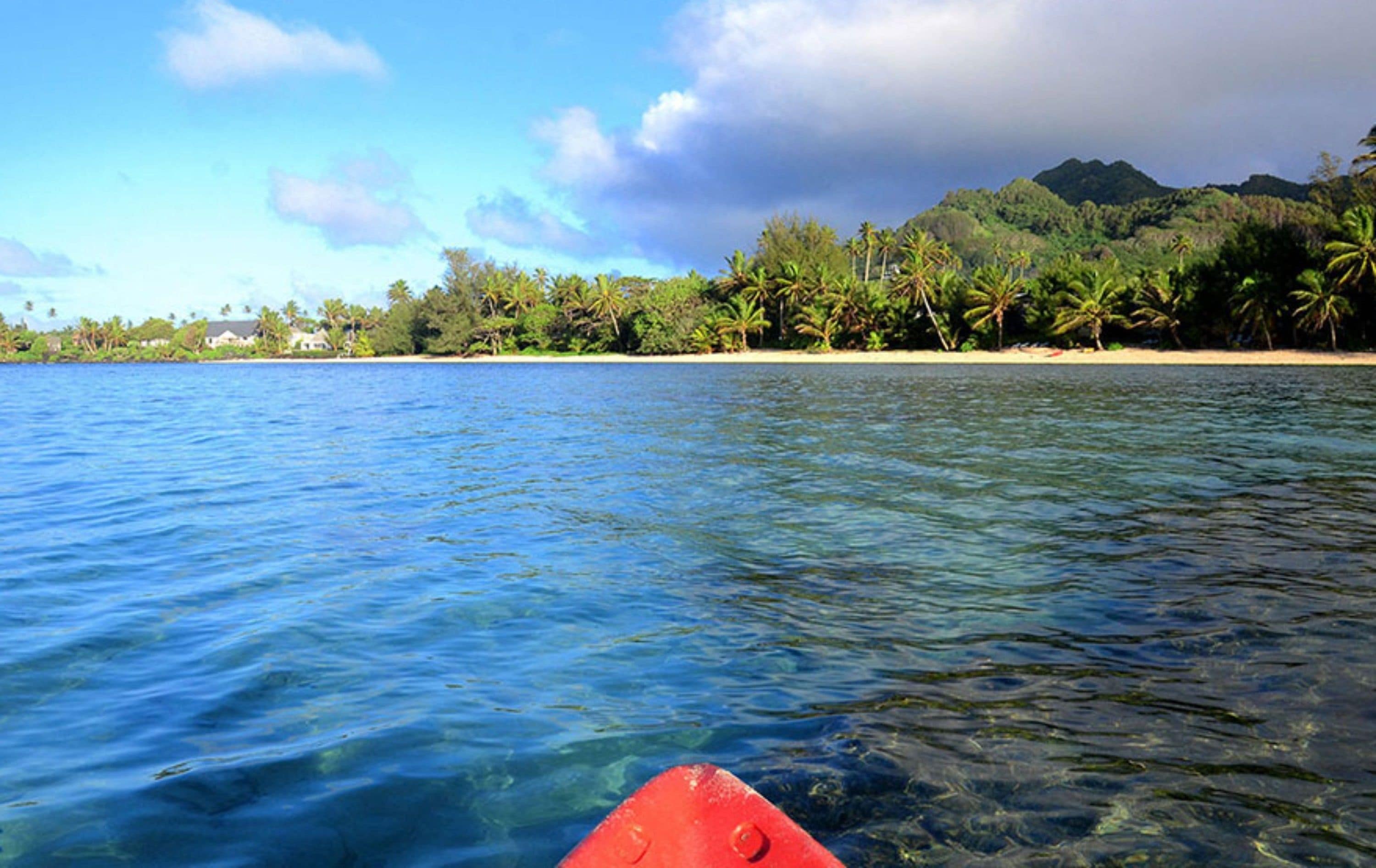 A clear view of a beach with palm trees and a mountain in the background.