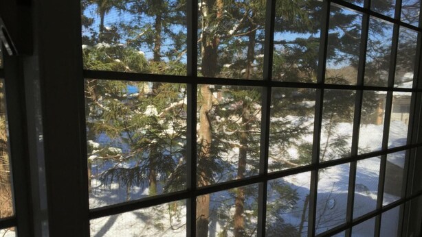 Ein Fenster mit Blick auf verschneite Landschaft und Bäume.