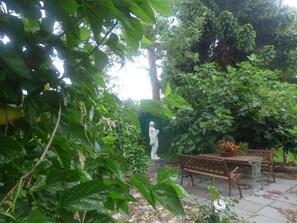 Terrace/patio - Werekataba (Mount Hutton)