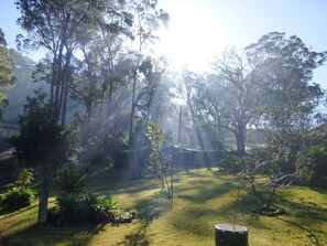 A garden with trees and a grassy area.