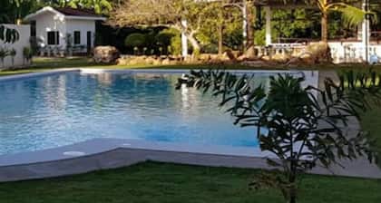 Kiwi's Hidden Resort