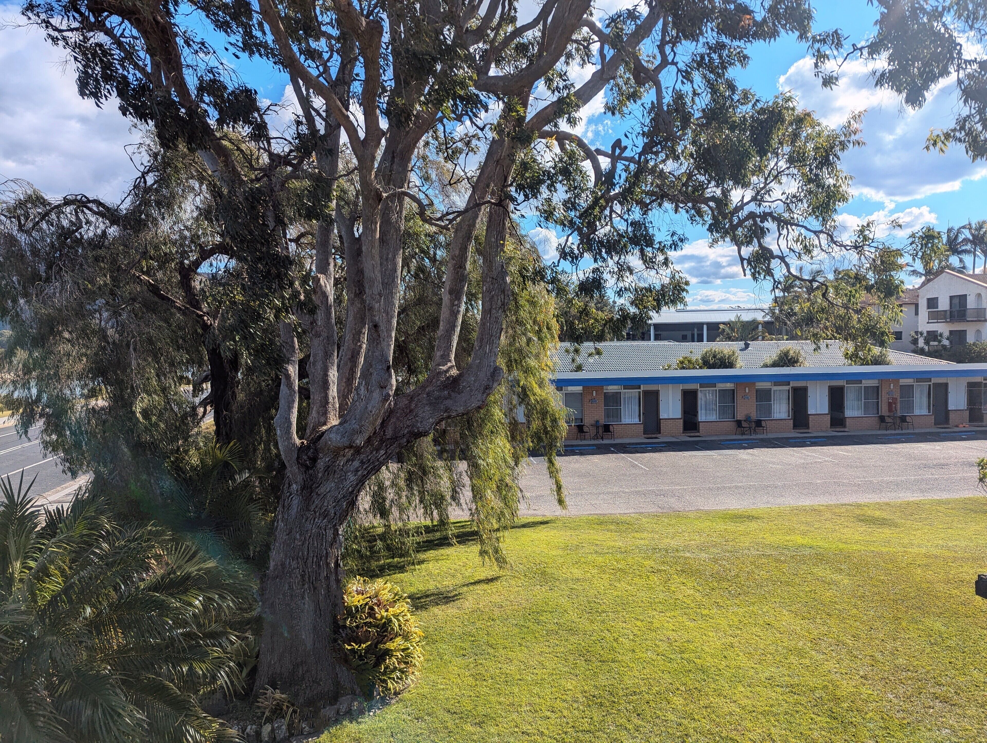 Un motel con un grande albero in primo piano, un parcheggio e un edificio con tetto blu sullo sfondo.