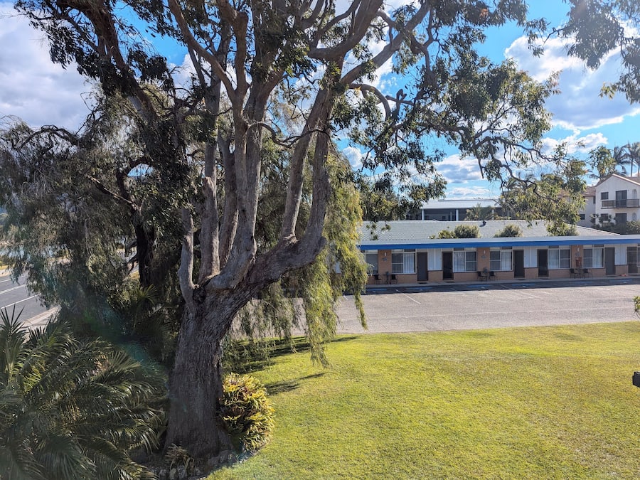 Un motel con un árbol grande al frente, un estacionamiento y un edificio con techo azul al fondo.