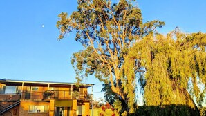Un edificio de dos pisos con balcón, un gran árbol en frente y un cielo azul despejado.