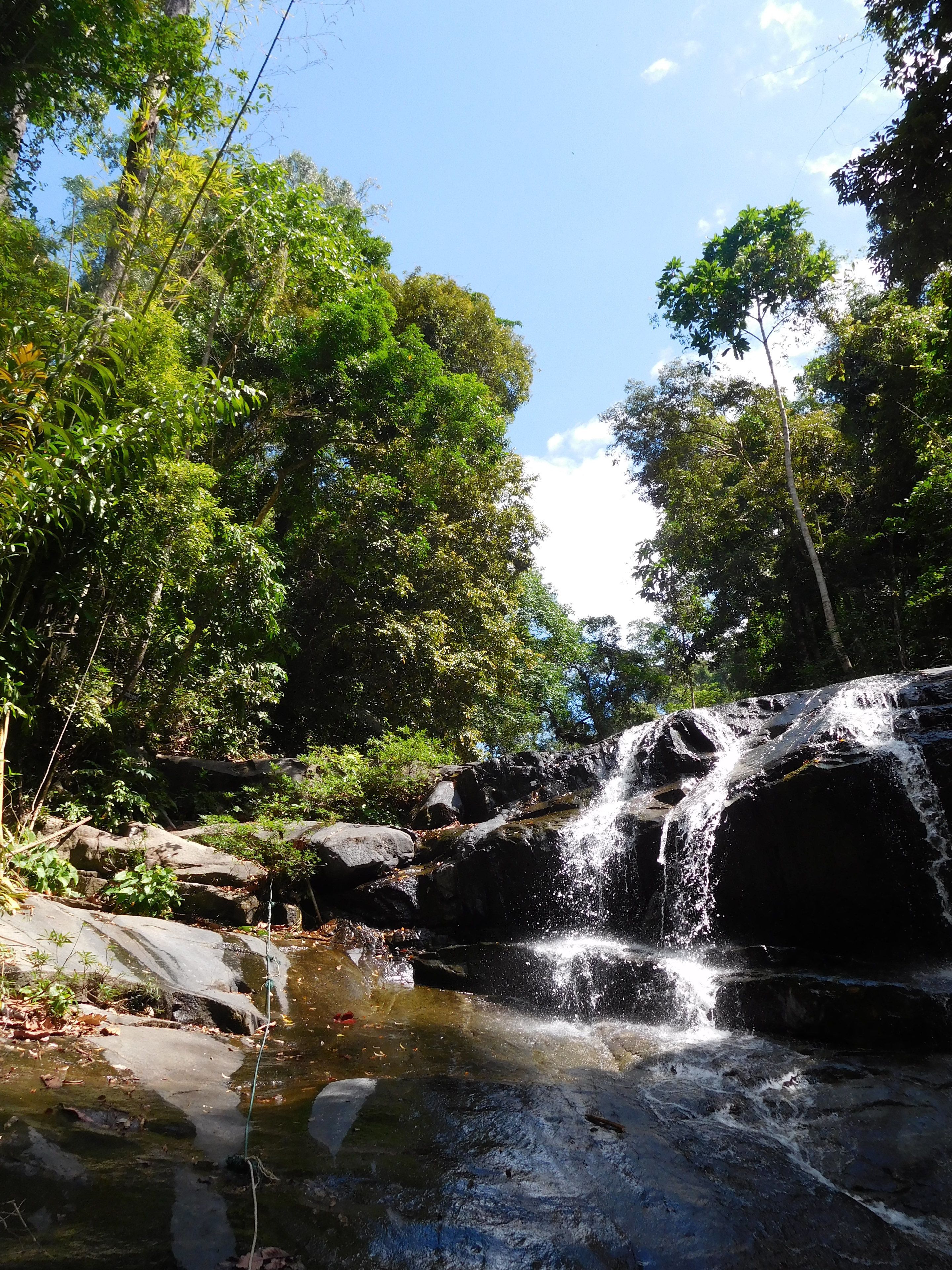 Una cascada en un área boscosa con rocas y follaje.