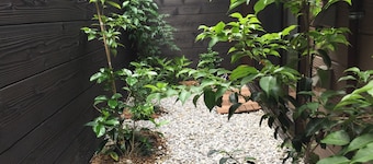 cotohouse kyonoyado