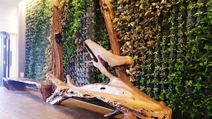 A large, natural-looking wooden sculpture in a room with a green wall covered in plants. - Grand Orient Hotel Perai (Perai)