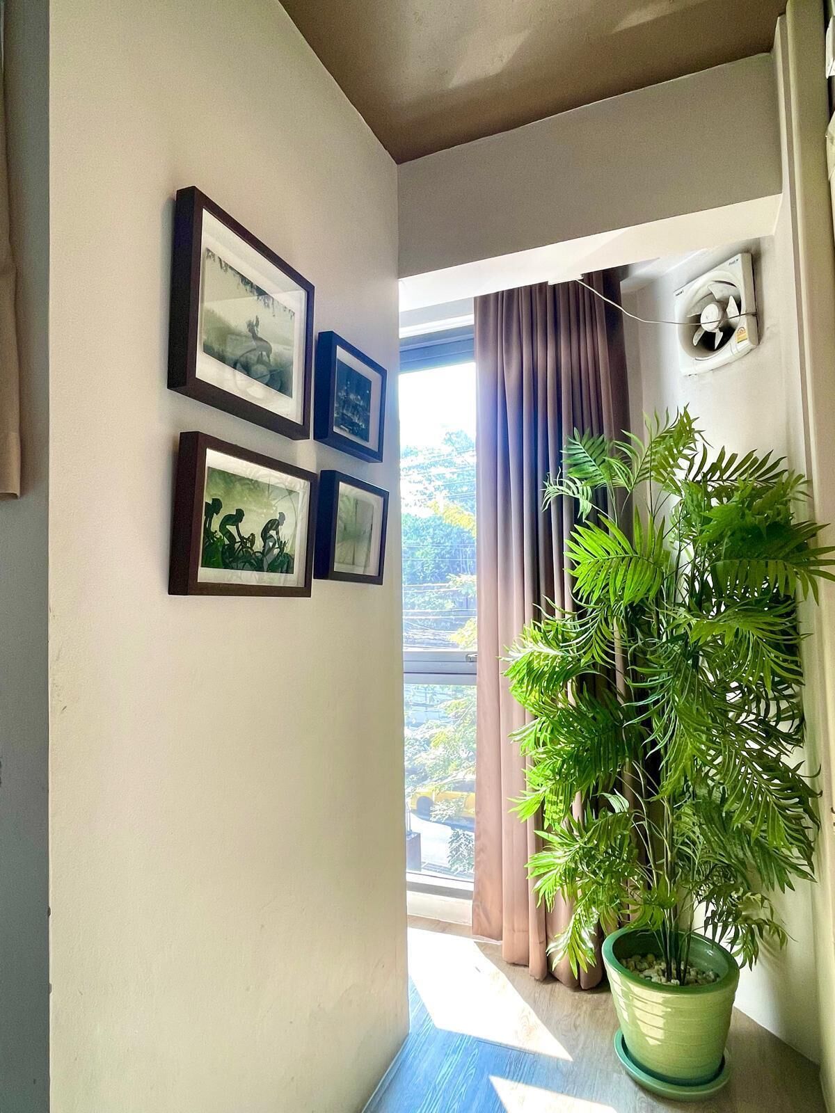 Une pièce avec une grande fenêtre, une plante en pot et trois tableaux encadrés accrochés au mur.