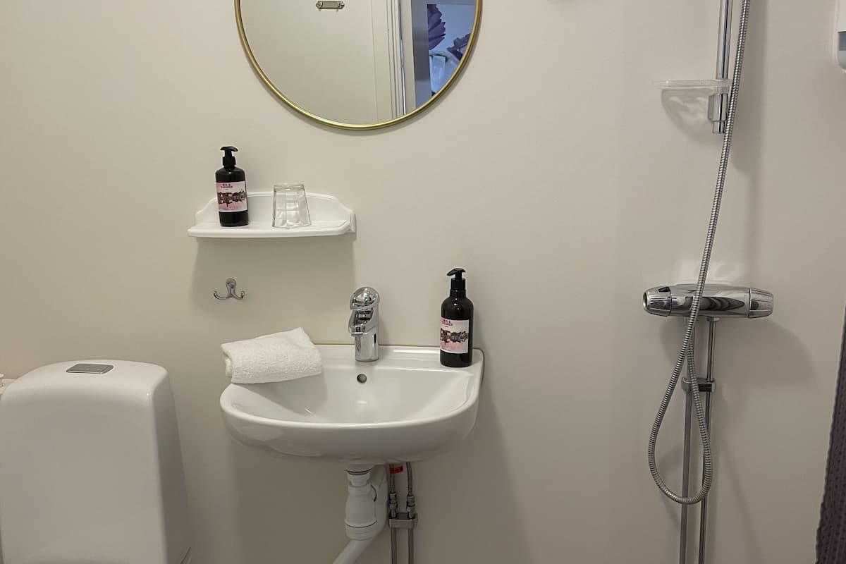 shower, free toiletries, hair dryer, towels