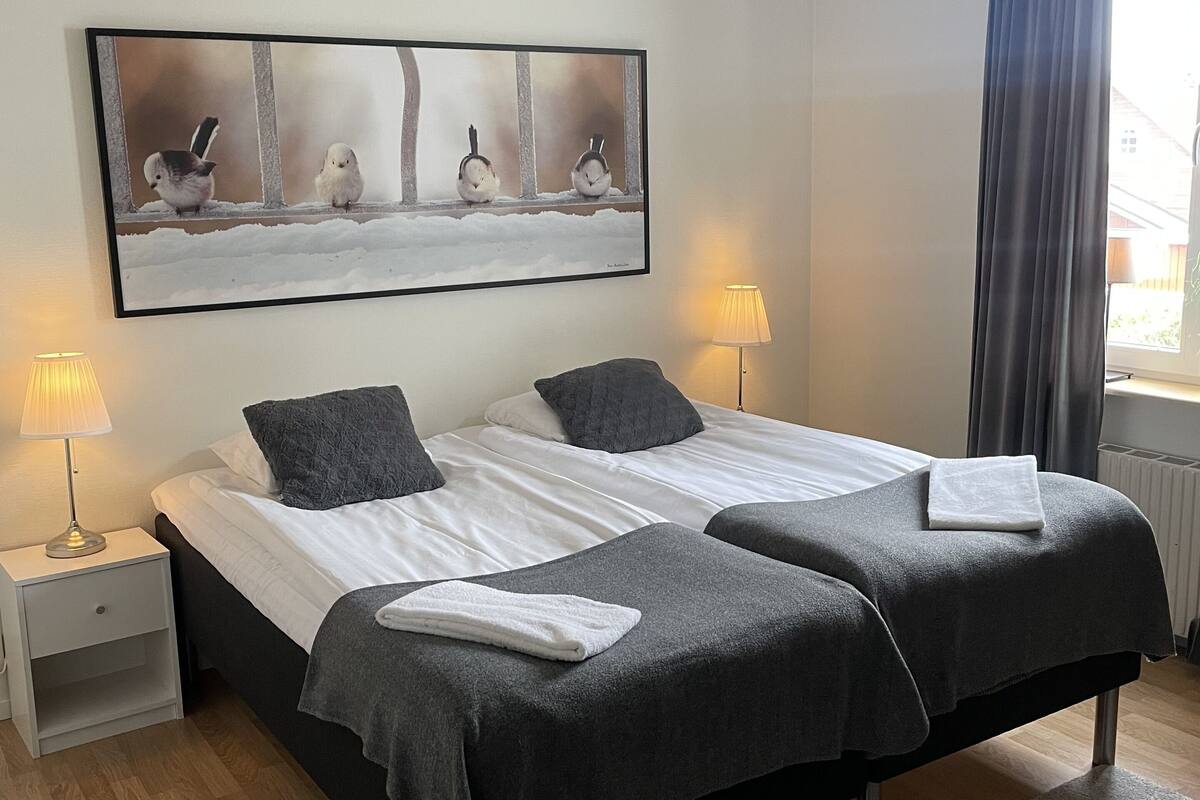 double room | desk, blackout curtains, iron/ironing board, free wifi