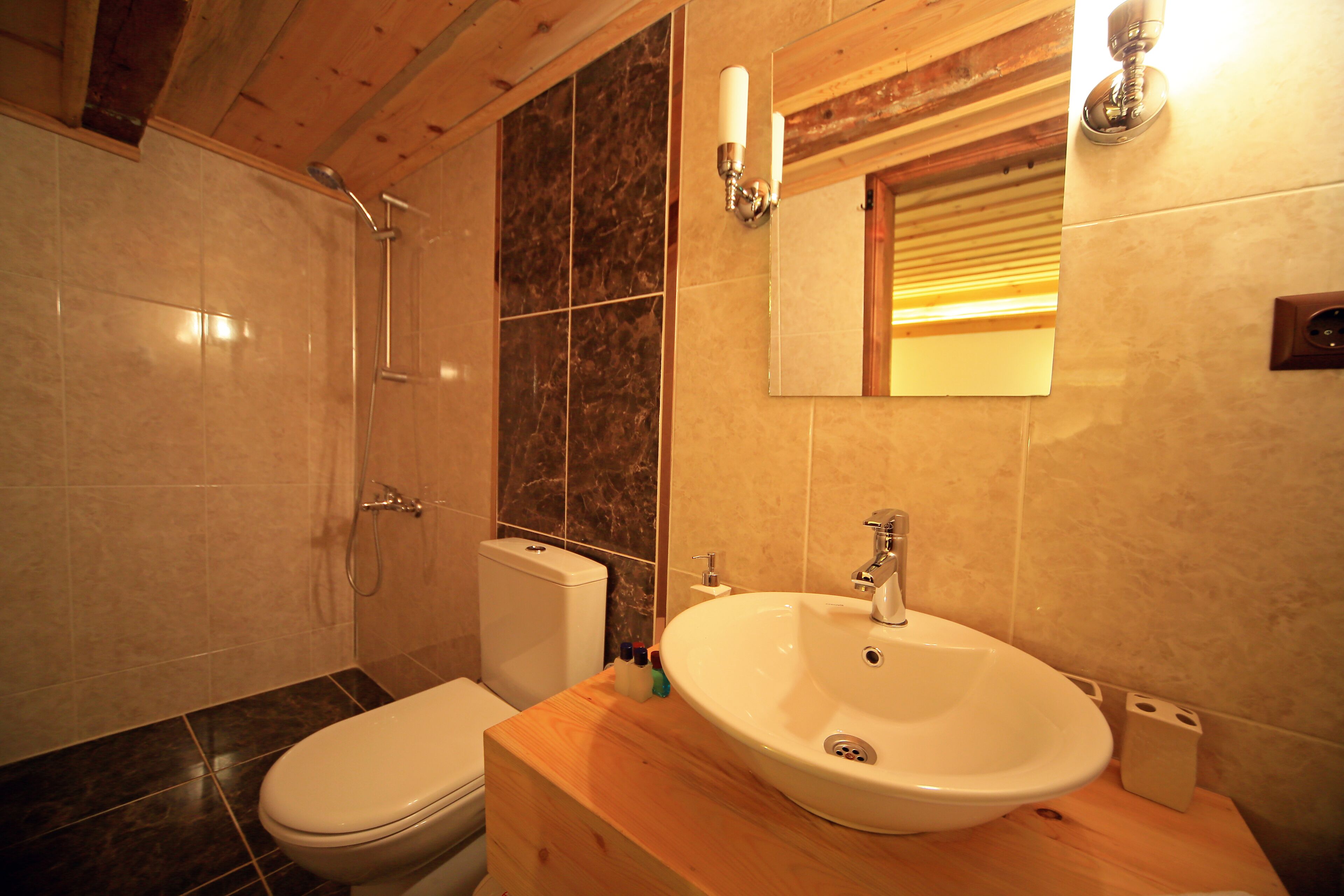 standard room | bathroom | shower, hair dryer, towels