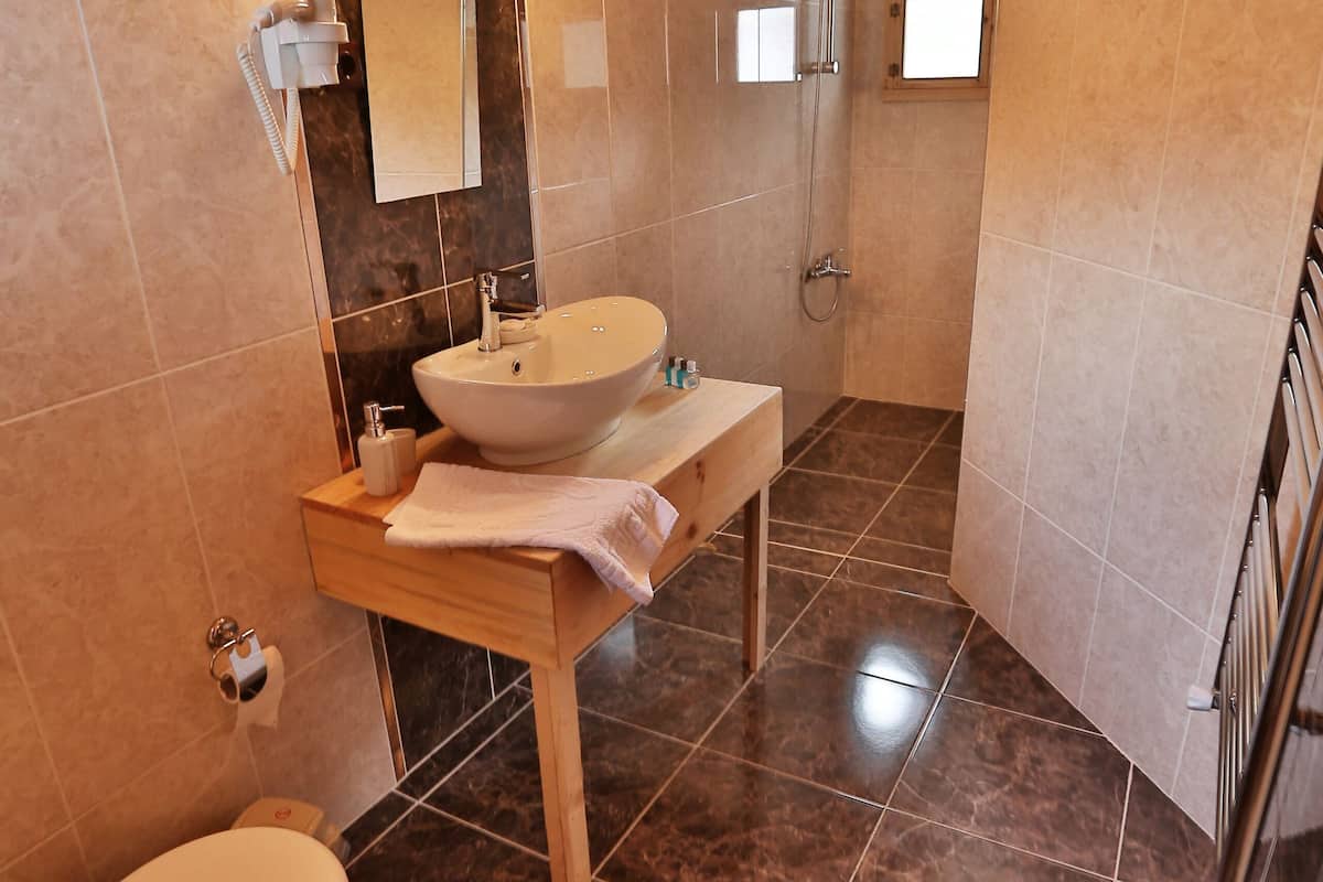 superior double or twin room | bathroom | shower, hair dryer, towels
