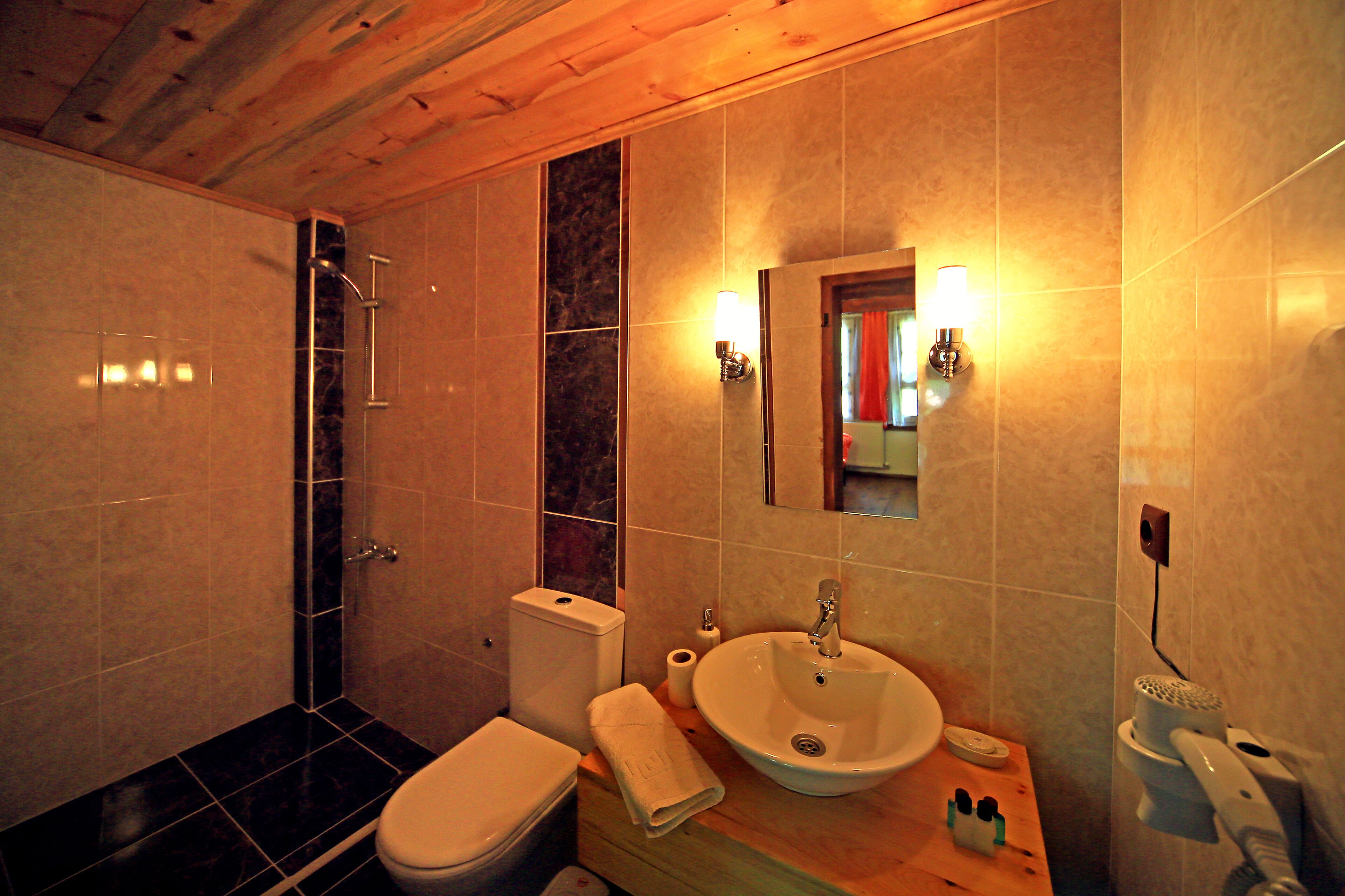 standard room | bathroom | shower, hair dryer, towels