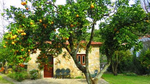 A stone building with a red door, surrounded by a well-maintained lawn and fruit trees. - Quinta de Rio Alcaide (Porto de Mos)