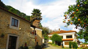 A stone building with a cobblestone courtyard, a palm tree, and a fruit tree. - Quinta de Rio Alcaide (Porto de Mos)
