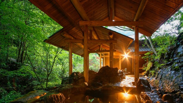A wooden pavilion with a stone pathway leading to a water feature surrounded by lush greenery. - Asan Kotonami (Manno)