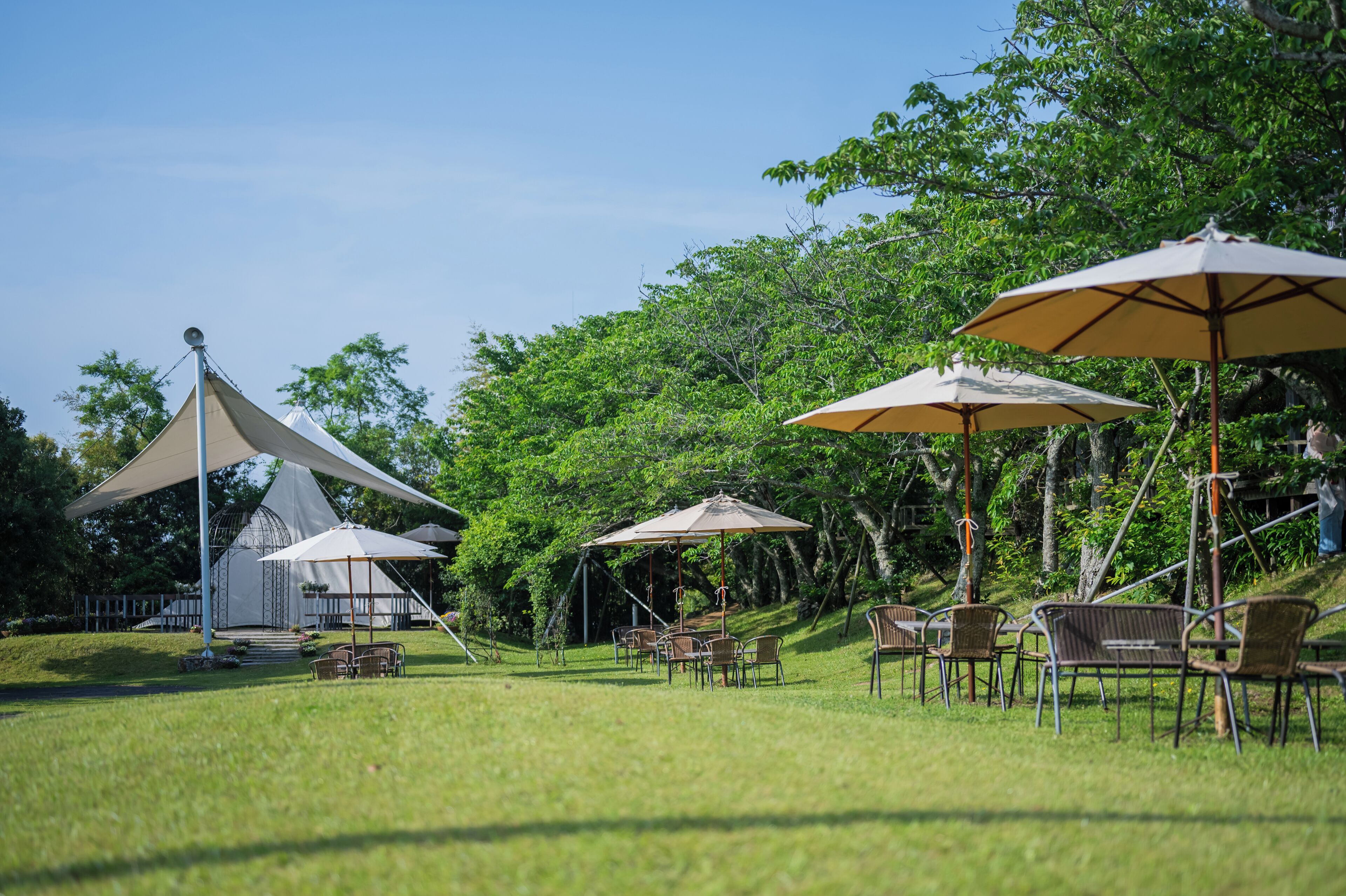 A grassy outdoor area with several tables and chairs under large umbrellas, surrounded by trees.