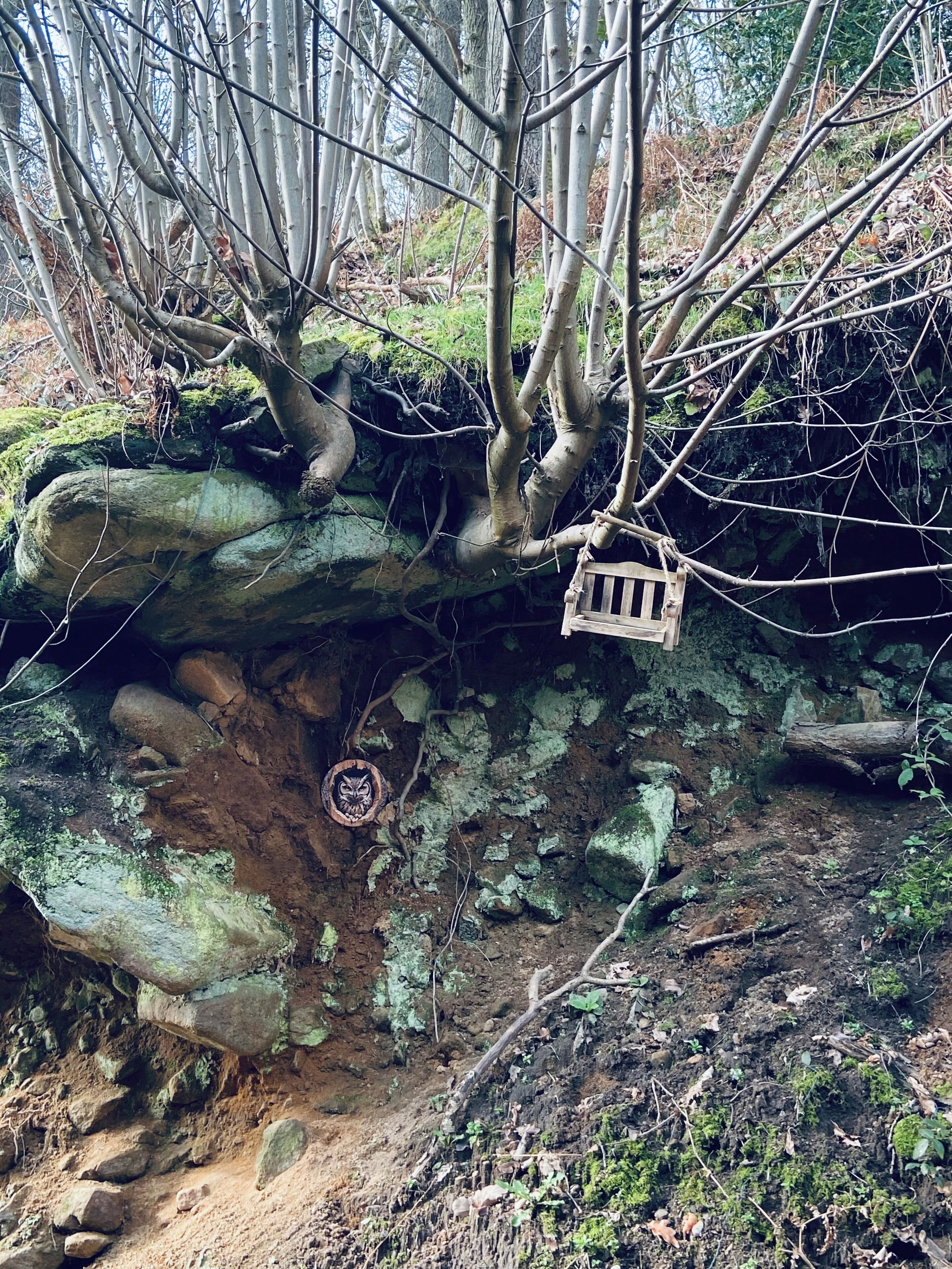 Terreno rocoso con un banco de madera y un árbol con rostro de lechuza tallado.