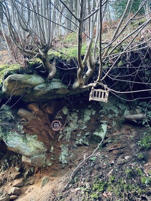 A rocky terrain with a wooden bench and a tree with a carved owl face.