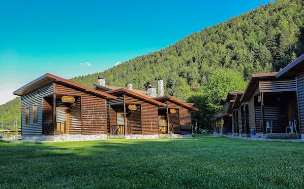 华丽平房, 1 张双人床, 山景 | 山景